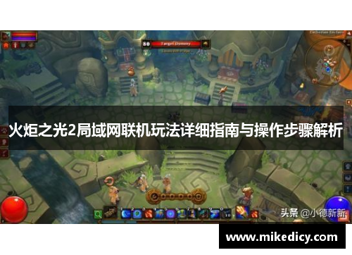 火炬之光2局域网联机玩法详细指南与操作步骤解析